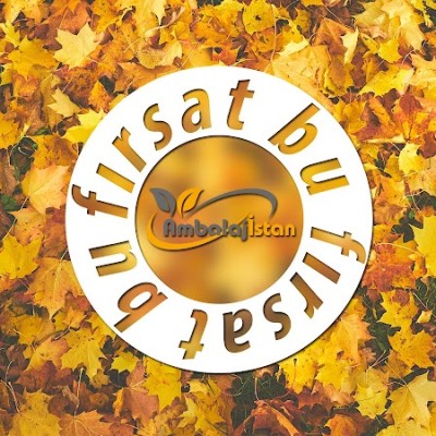 Ambalajistan