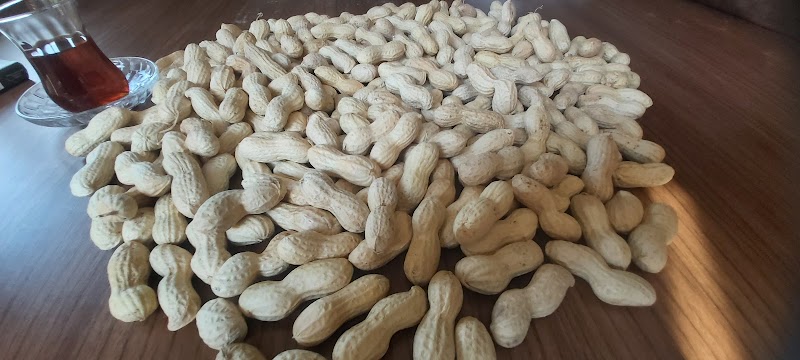 Başpınar Fıstıkçılık