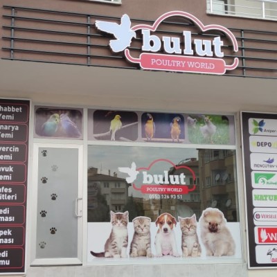Bulut Mama