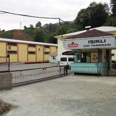 Çaykur Işıklı Çay Fabrikasi