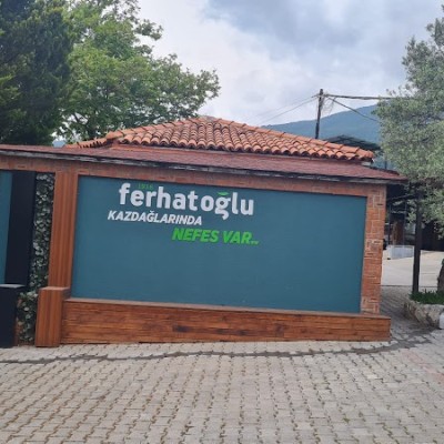Ferhatoğlu Zeytincilik