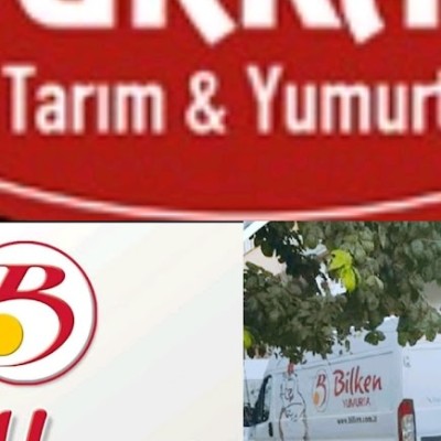 Gaziantep Yumurta Furkan Tarım