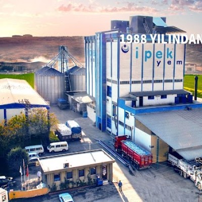 İpek Yem