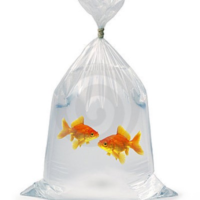 Mersan Plastik