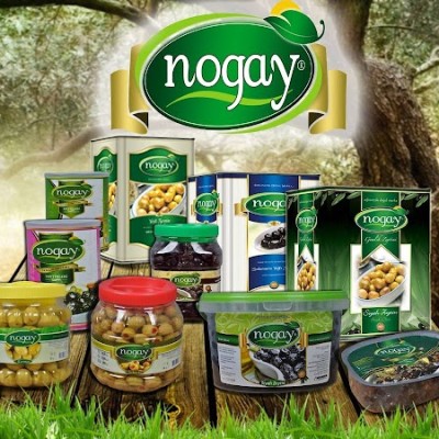 Nogay Zeytin