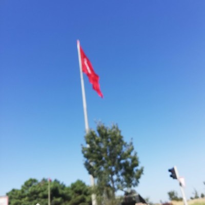 Öz Otomat