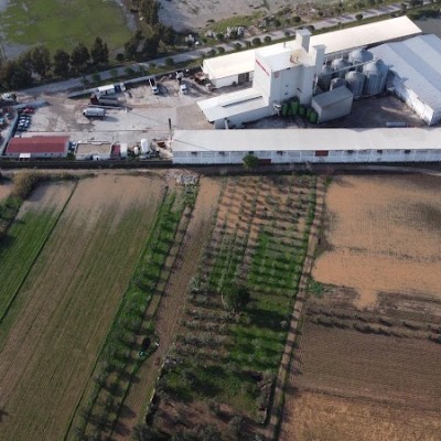 Tariş Yemta Yem Hayvanclık Sanayi Ve Ticaret A.ş.