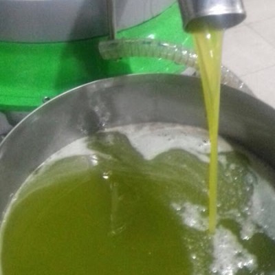 Yıldırım Zeytinyağı Fabrikası