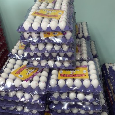 Yumurta Sarayı